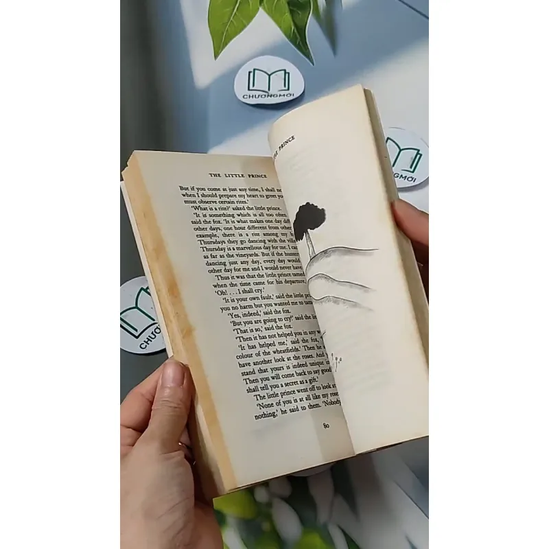 The Little Prince - Antoine de Saint-Exupéry 703064