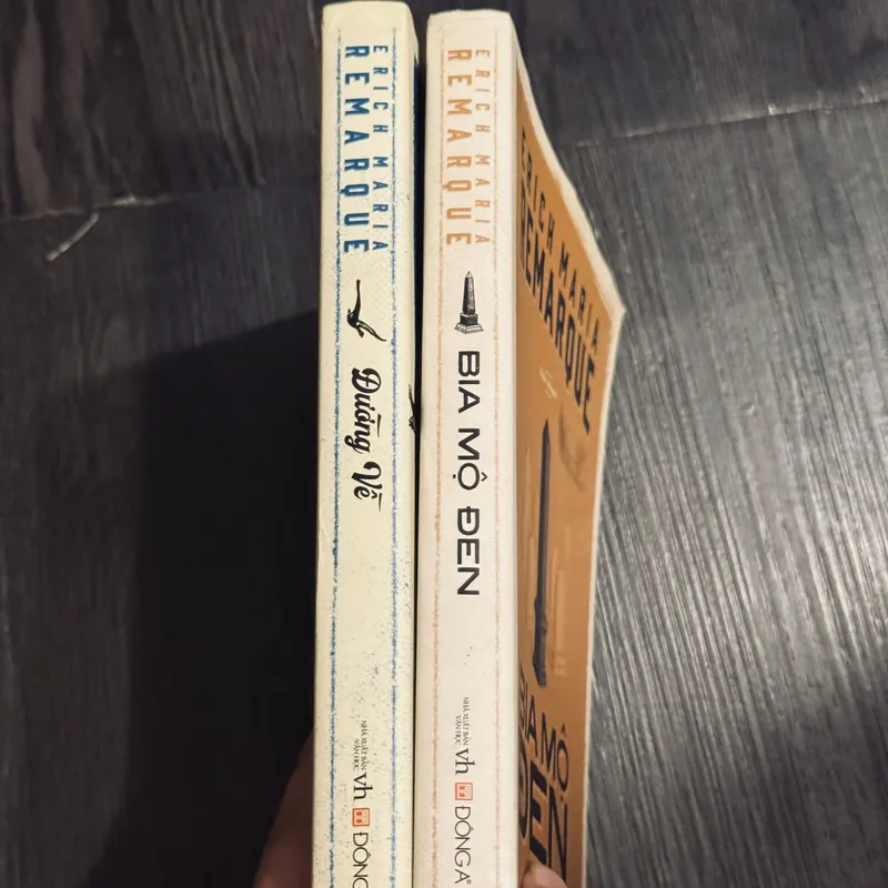 Combo 2 cuốn E.M.Remarque 597837