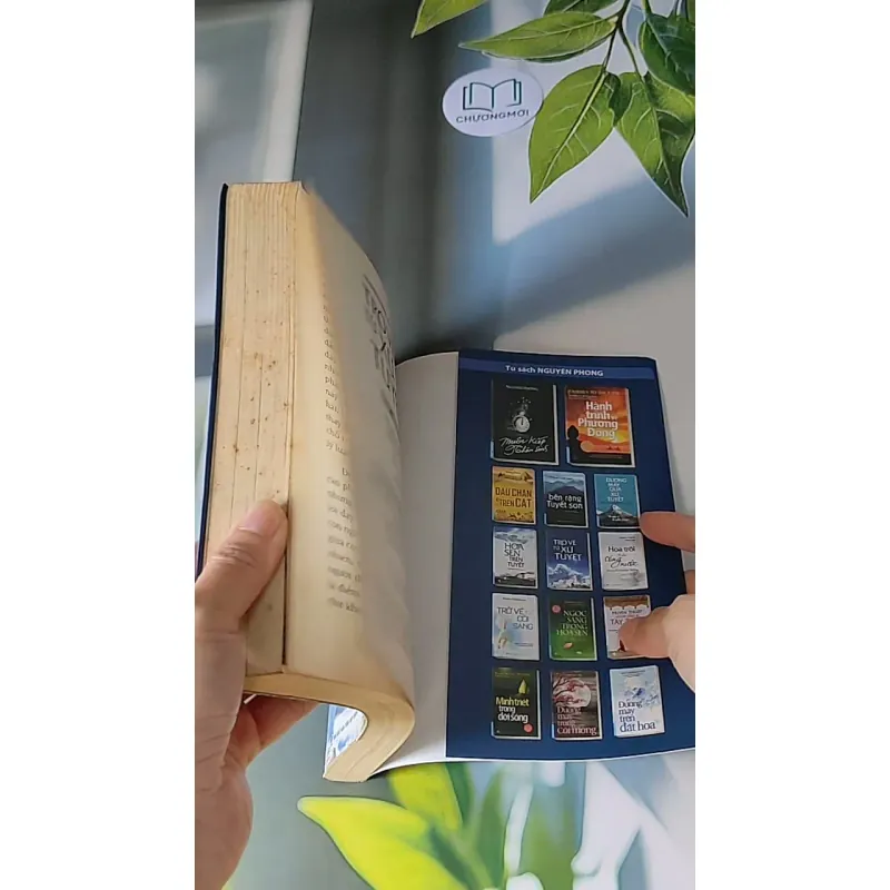 Trở Về Từ Xứ Tuyết - Nguyên Phong 607722