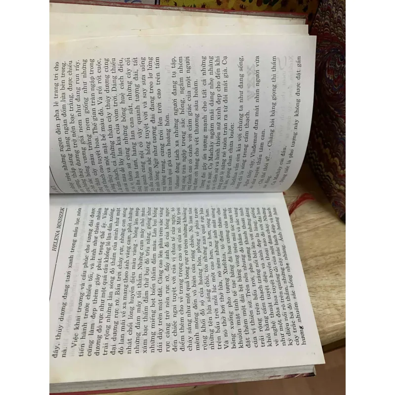 Con Hủi - Helena Mniszek 748620