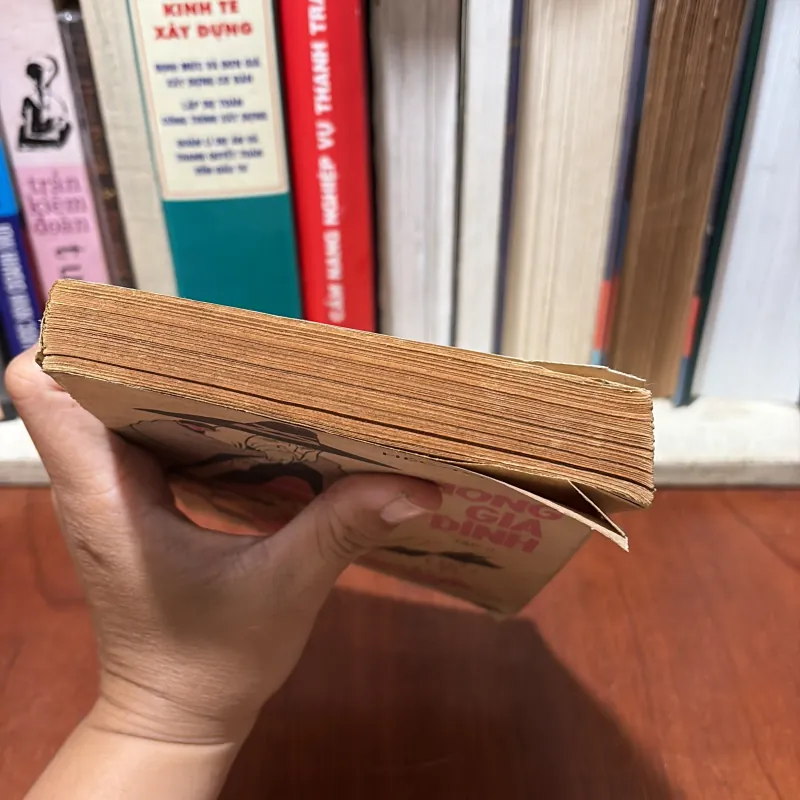 II Văn Học Kinh Điển: Không Gia Đình (Tập 2) - HÉCTO MALÔ - 1986 777318