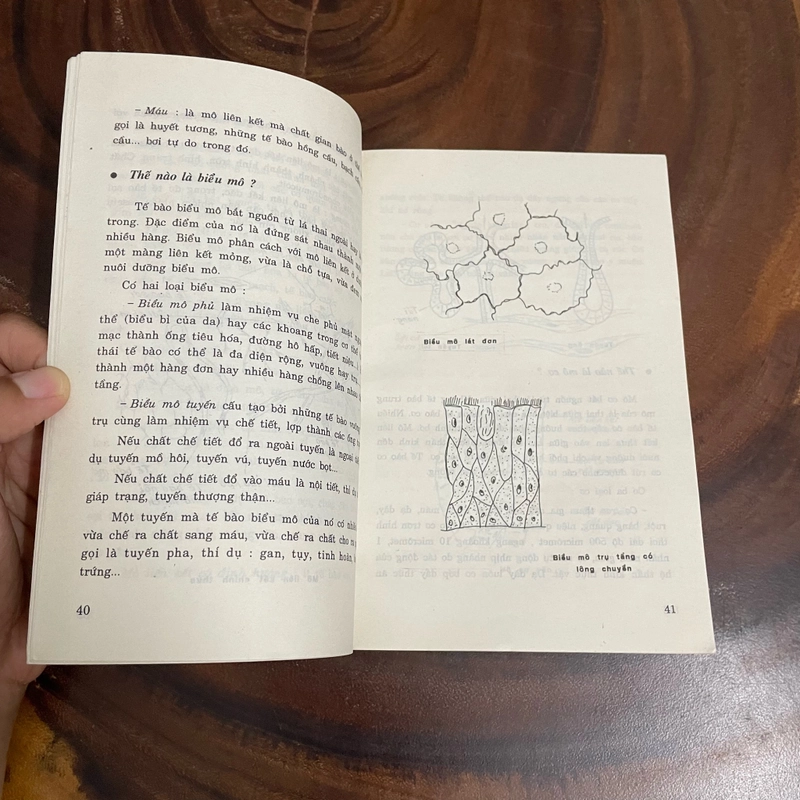 II Bộ Sách 10 Vạn Câu Hỏi Vì Sao: Y Học _ Bệnh Ung Thư (Tập 2) - PGS. Nguyễn Văn Tảo -2003 462803