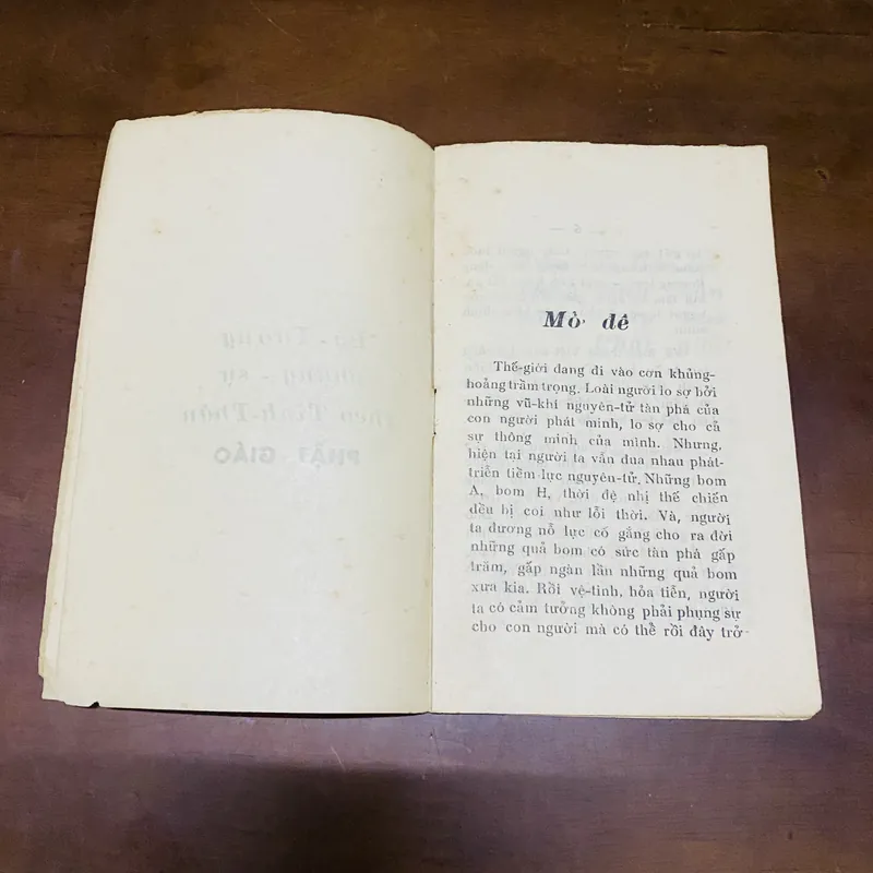 Lý tưởng phụng sự theo tinh thần Phật giáo (năm 1965) 723315