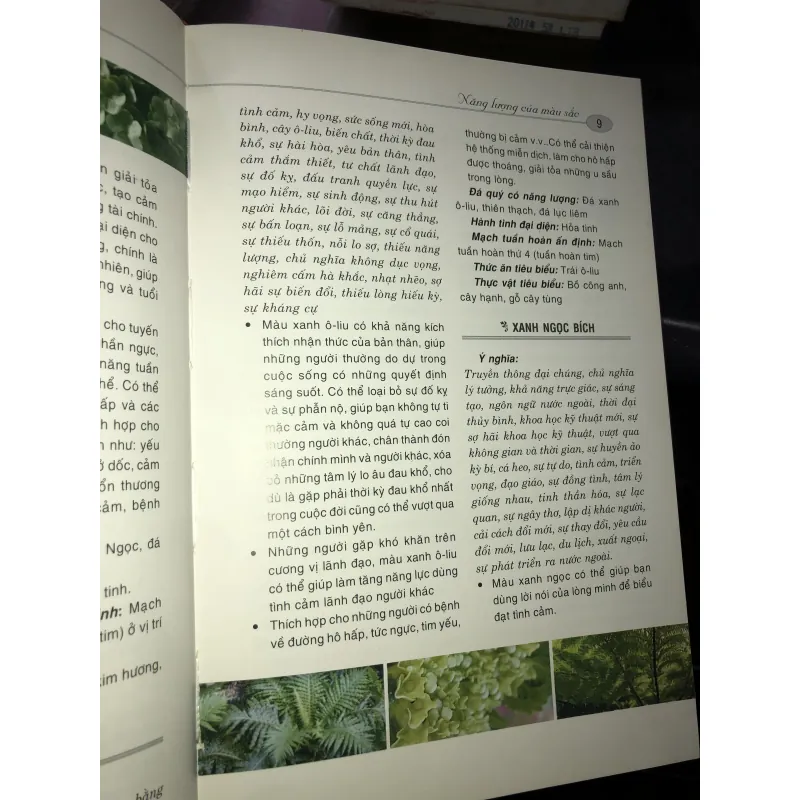 Vận mệnh đời người & hoa cảnh - Nguyễn Kim Dân 1034185