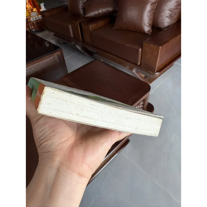 Cổ Phiếu Thường Lợi Nhuận Phi Thường (Common Stocks and Uncommon Profits – Ver 2.0) 972939