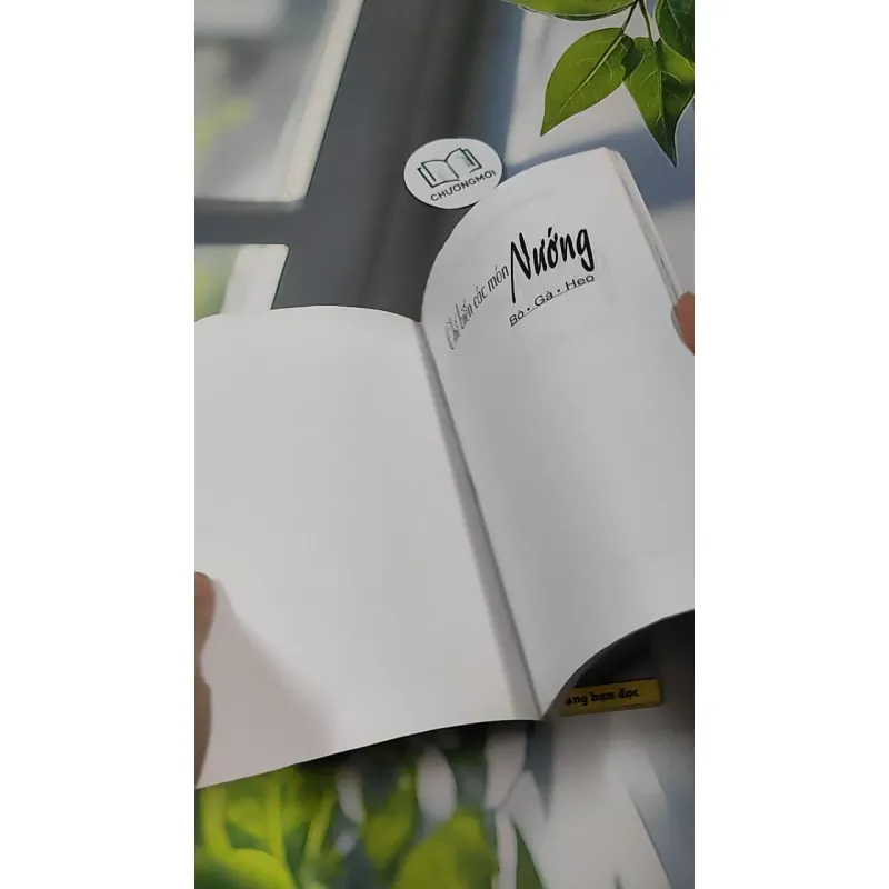 Combo Ẩm Thực: Món Ngon, Bánh Rán, Các Món Nướng 727320