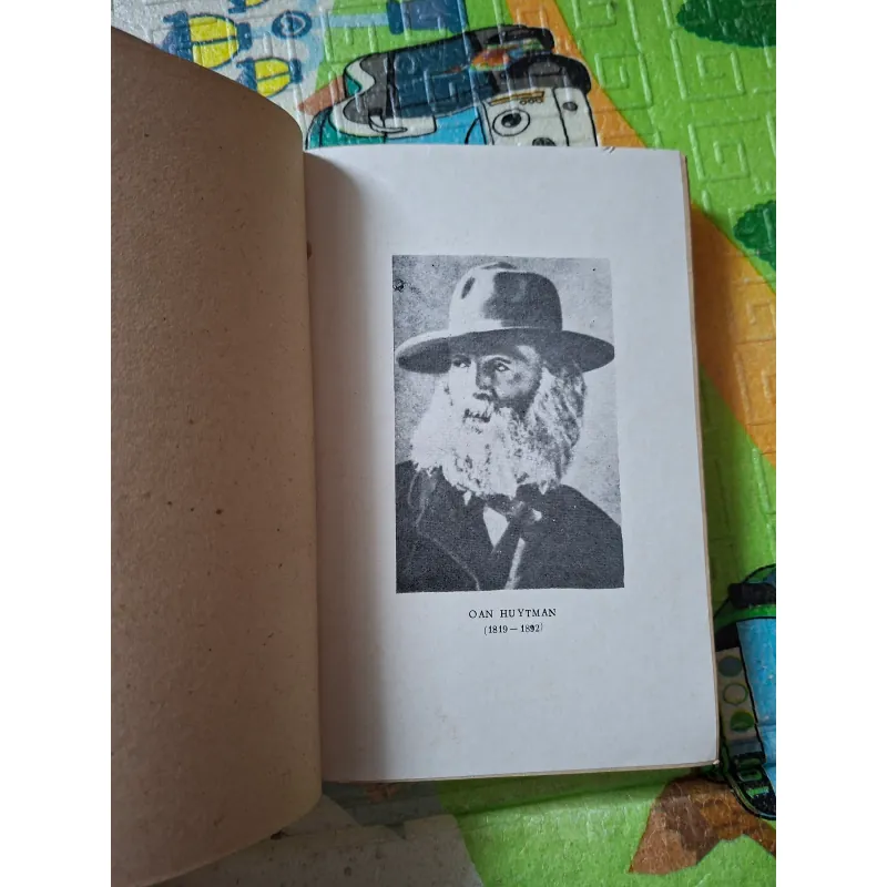 Lá cỏ (Leaves of Grass) 797275