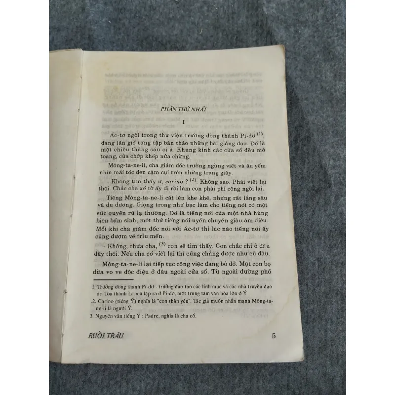 RUỒI TRÂU - ETELLE LILIAN VOYNICH 574651
