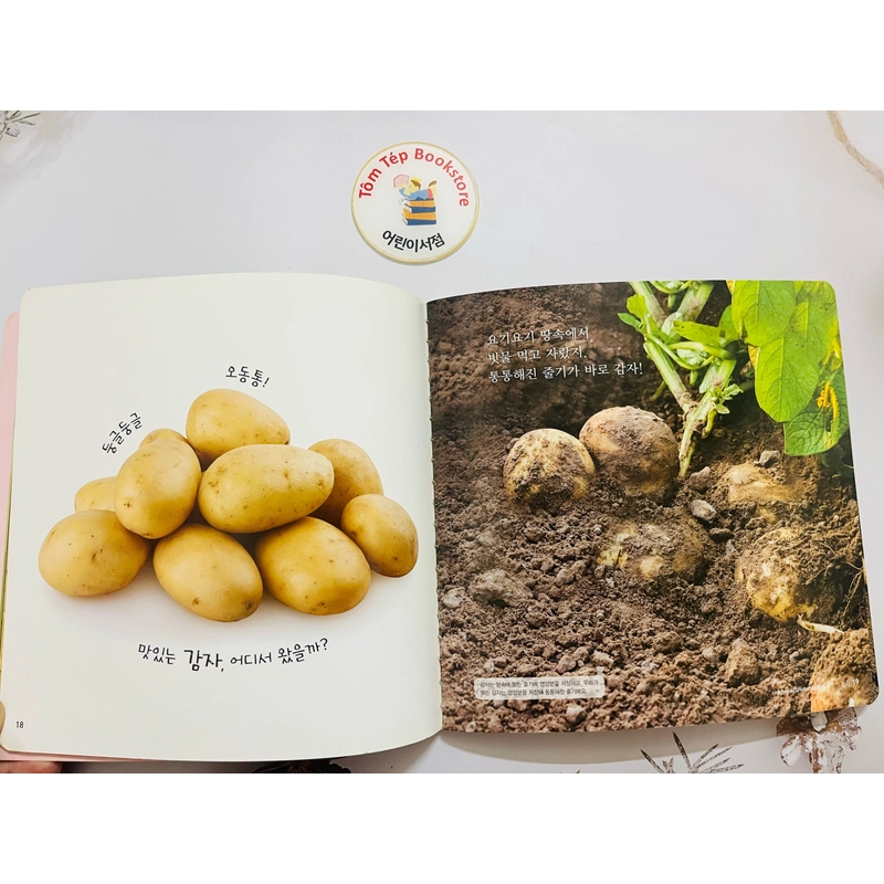 Set sách tiếng Hàn minh hoạ dễ thương bạn hổ 호비 470095