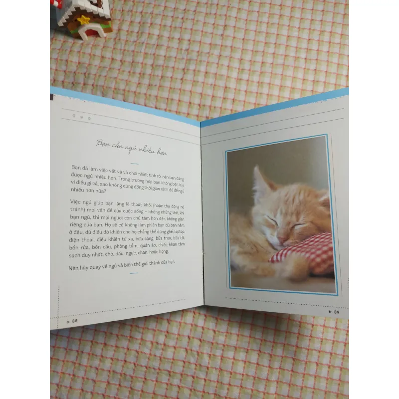 NGỦ THẬT LÂU - YÊU THẬT SÂU _ Những lời khuyên thông thái từ loài mèo _ 713491