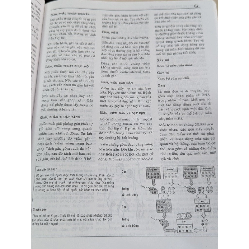 Từ điển y học chăm sóc sức khoẻ gia đình - Nguyễn Sào Trung 785967