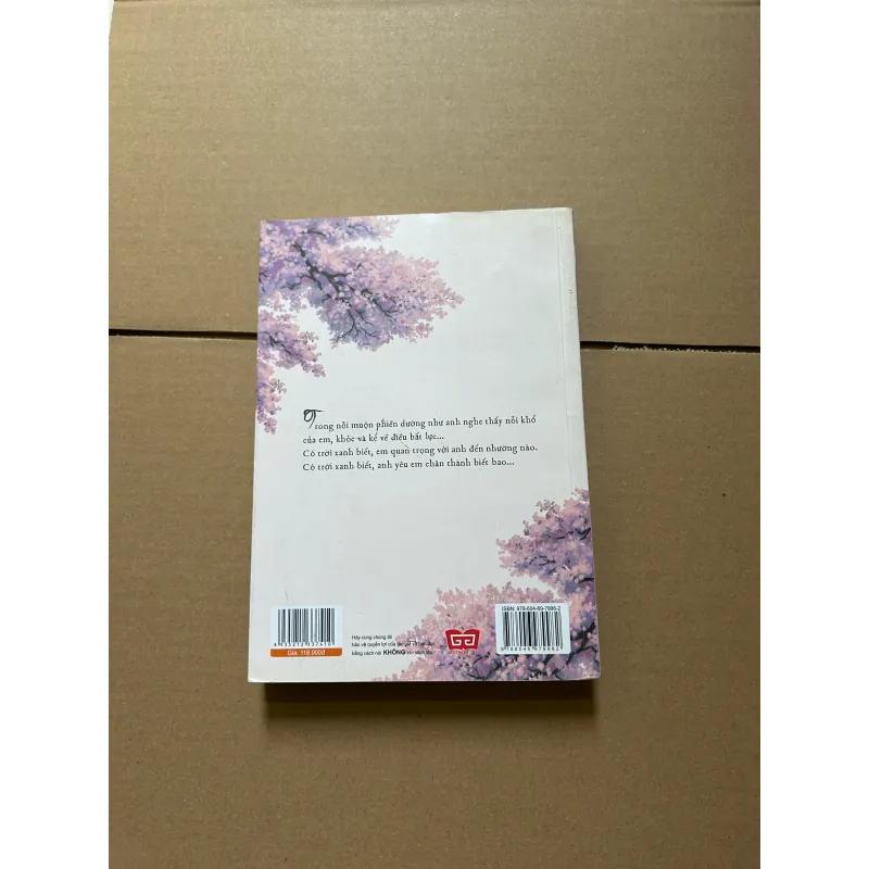 Động phòng hoa chúc cách vách - Diệp Lạc Vô Tâm 957948