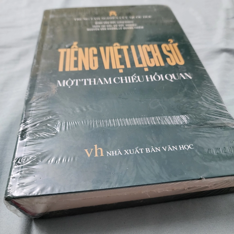 Tiếng Việt lịch sử một tham chiếu hồi quan | Đinh Văn Đức chủ biên 498501
