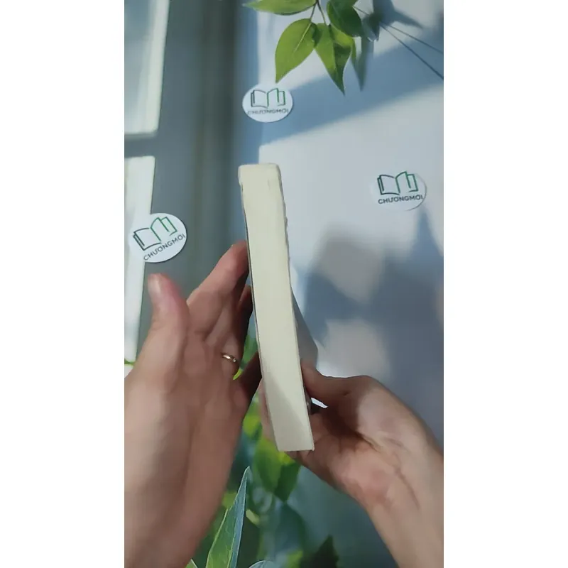 Một Lần Tới Nhân Gian, Phải Sống Đời Rực Rỡ - Lương Sảng 961157