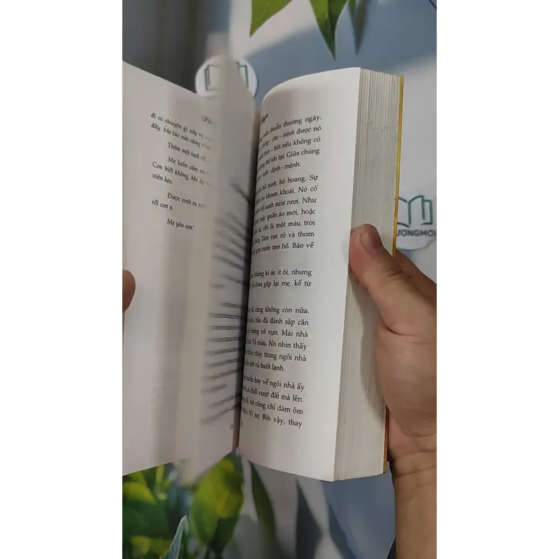 Blogger - Phong Điệp 798352