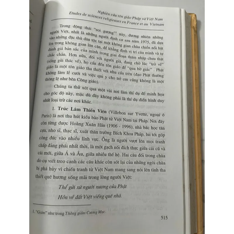 Nghiên cứu tôn giáo Pháp và Việt Nam - Đỗ Quang Hưng & Claude Langlois 1023730