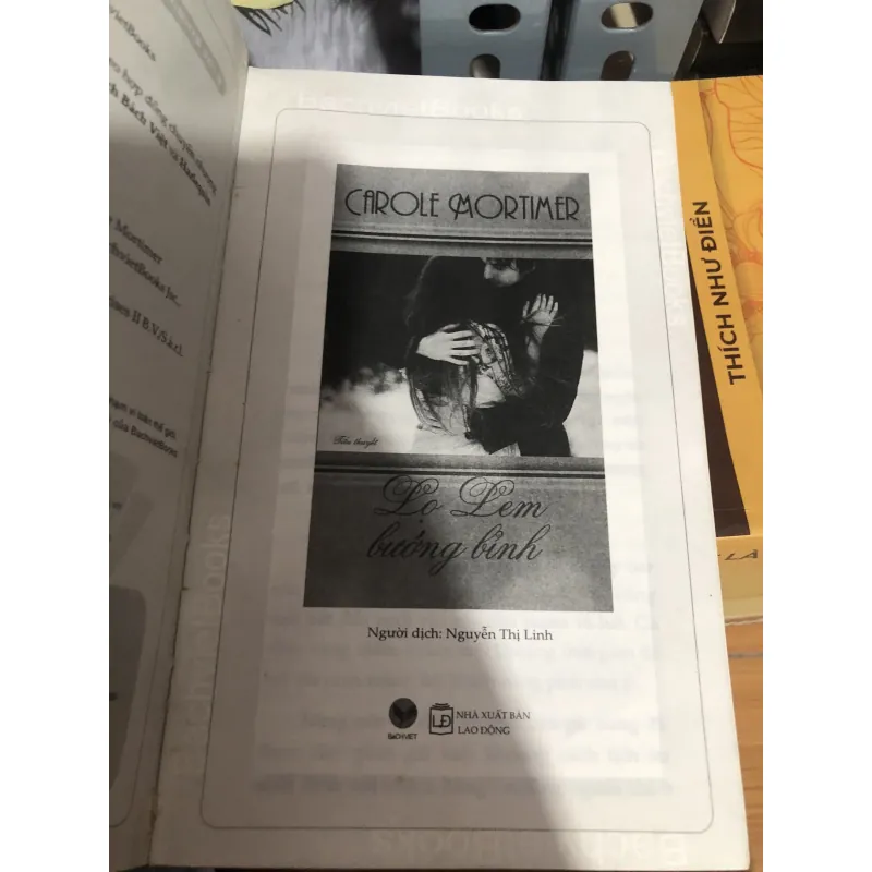 Tiểu thuyết Lọ Lem bướng bỉnh 990568