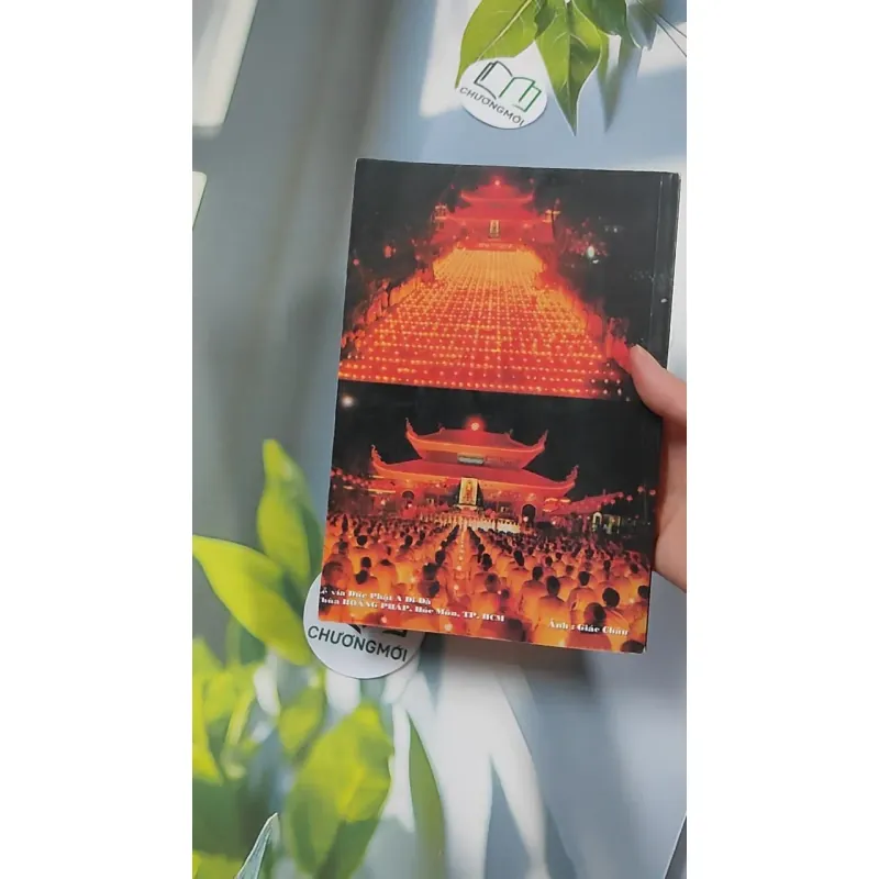 Kinh Nghiệm Niệm Phật Và Những Chuyện Luân Hồi - Cư Sĩ Diệu Âm - Diệu Ngộ 776139