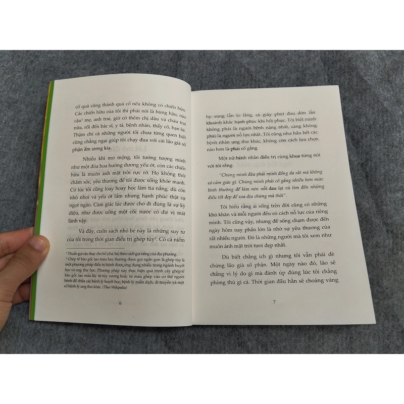 MUÔN ÁNH MẶT TRỜI 549228