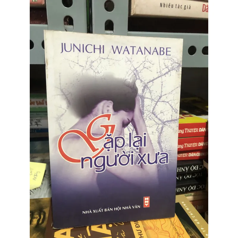 Tiểu thuyết Gặp lại người xưa 990610