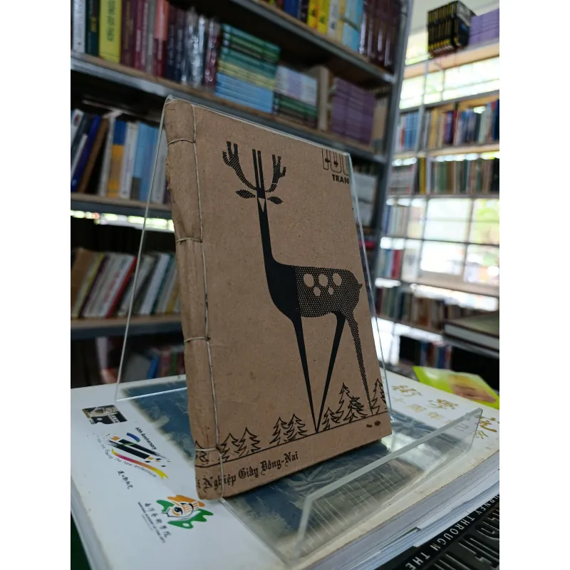 ÁNH ĐẠO VÀNG 592899