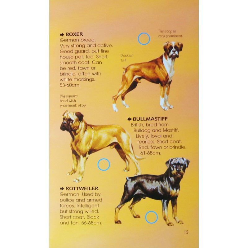 Usborne Spotter's Guides: Dogs 183942