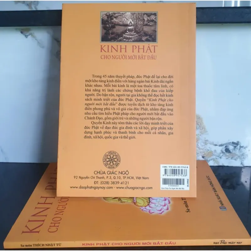 Kinh Phật dành cho người mới bắt đầu - Thích Nhật Từ mới 90% 689721