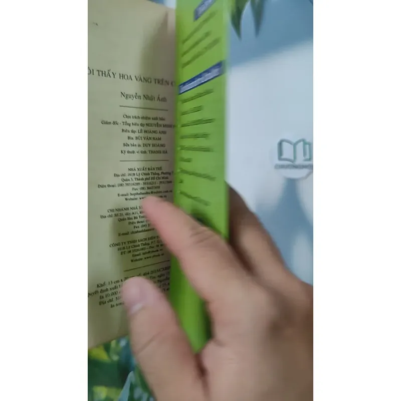 Tôi Thấy Hoa Vàng Trên Cỏ Xanh - Nguyễn Nhật Ánh 798349