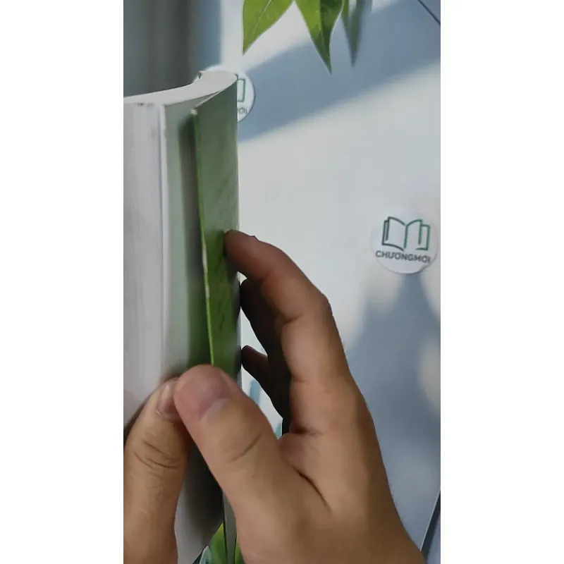 Nước mắt ngày gặp mặt - Nguyễn Văn Tàu 798366