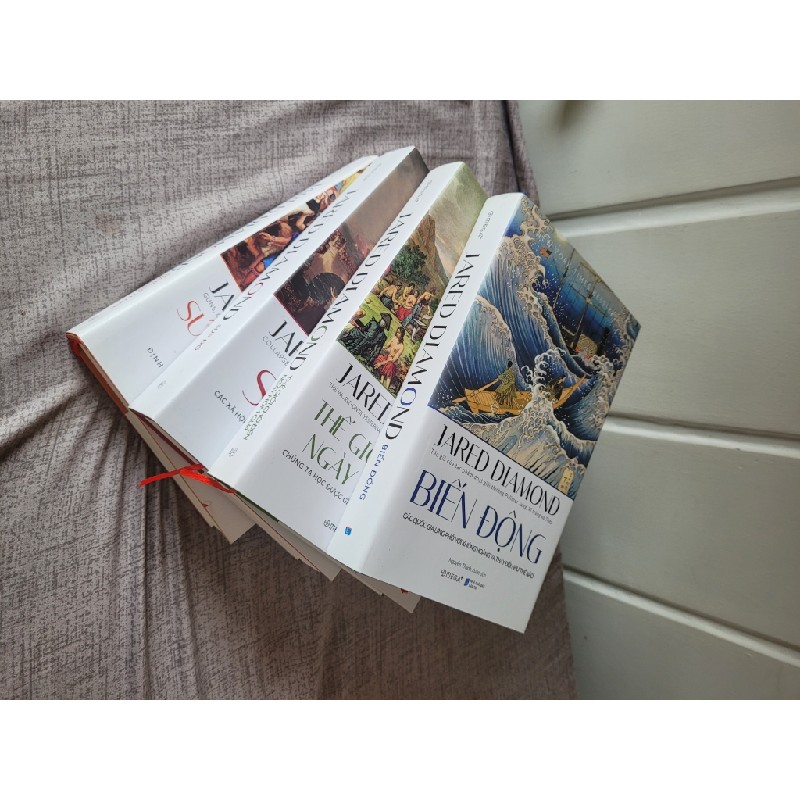 Box sách Jared Diamond - bộ 4 tác phẩm tiêu biểu 25863