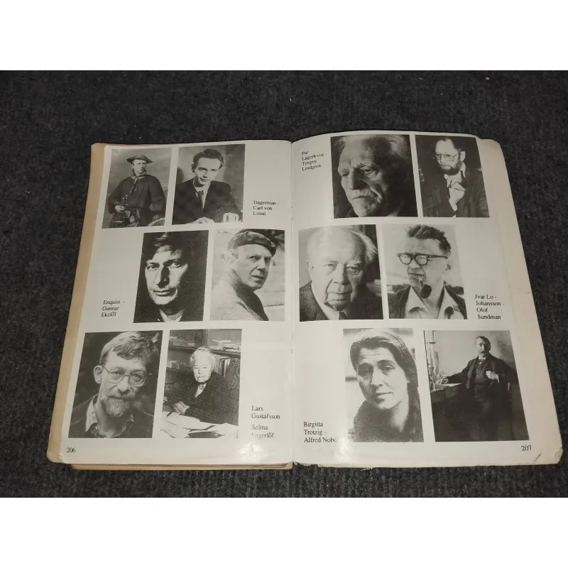 MẢNH TRỜI BẮC ÂU. PHÁC THẢO VĂN HOÁ THỤY ĐIỂN - HỮU NGỌC 993100