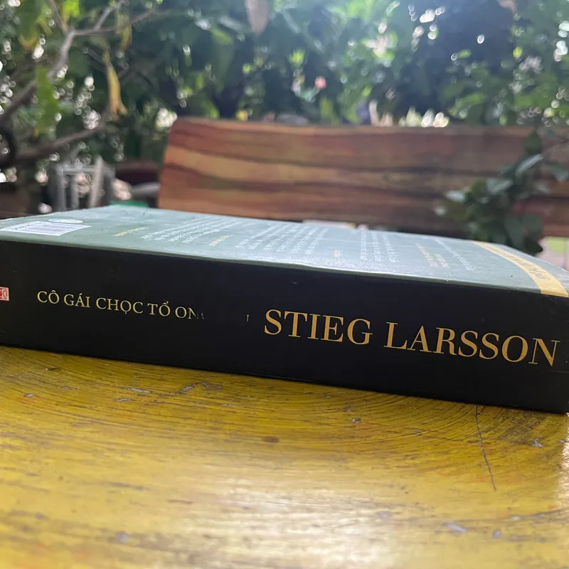 CÔ GÁI CHỌC TỔ ONG BẦU- STIEG LARSSON 565203