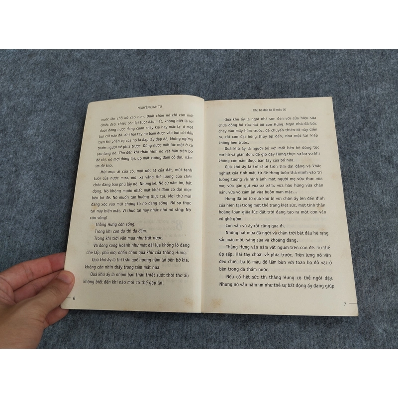 CHÚ BÉ ĐEO BA LÔ MÀU ĐỎ - NGUYỄN ĐÌNH TÚ 538156