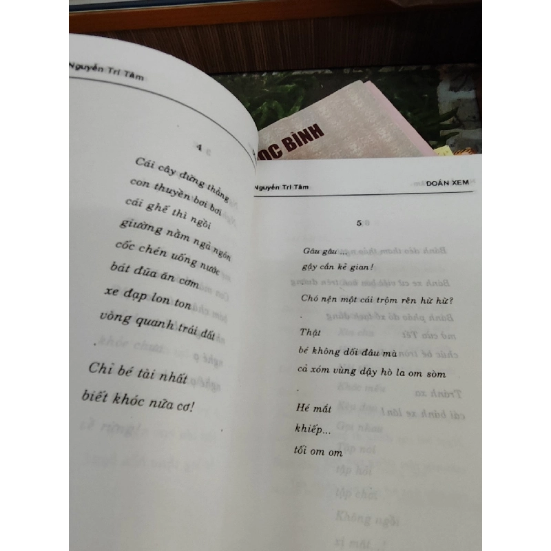 Trăm quả núi nhỏ - Nguyễn Tri Tâm 1028034