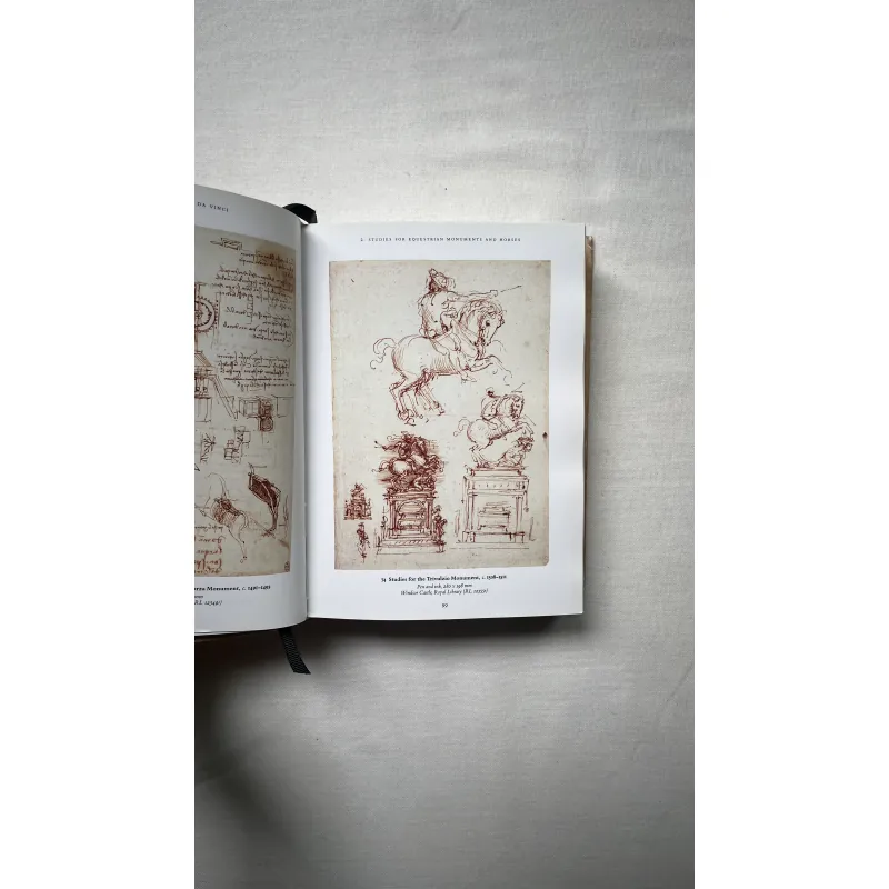 Leonardo Da Vinci 1028940