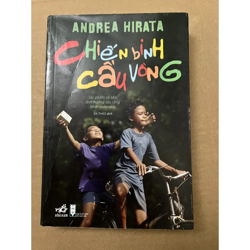 Chiến Binh Cầu Vòng 1001584