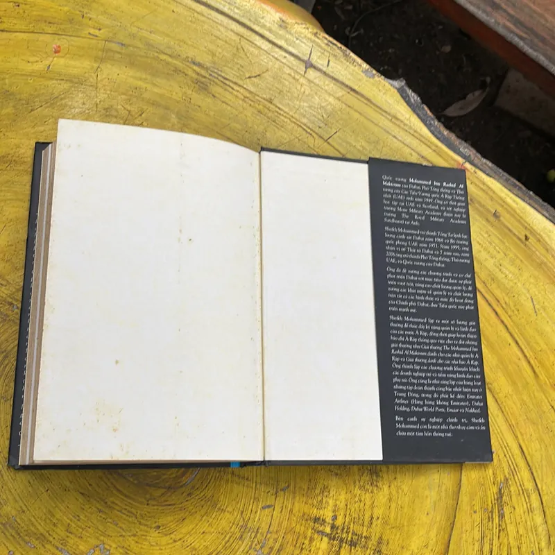 TẦM NHÌN THAY ĐỔI QUỐC GIA- ĐIỀU KỲ DIỆU Ở DUBAI 736268