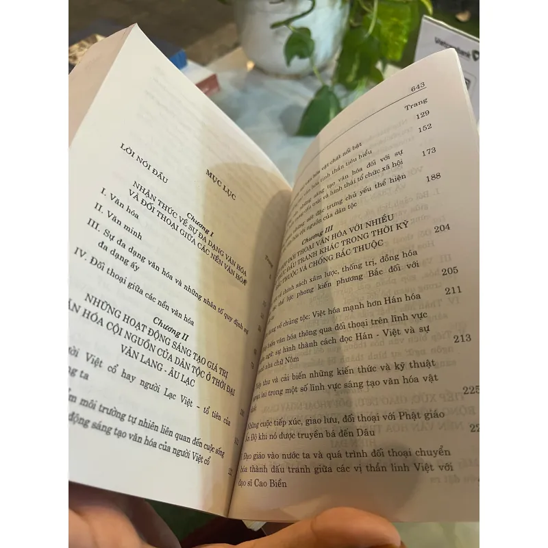 SỰ ĐA DẠNG VĂN HOÁ VÀ ĐỐI THOẠI GIỮA CÁC NỀN VĂN HOÁ MỘT GÓC NHÌN TỪ VIỆT NAM  1027581