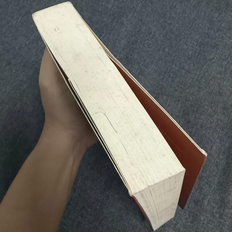 Tiểu sử và hành trạng các nhà khoa bảng Hán học Nam Bộ - Nguyễn Đình Tư 749134