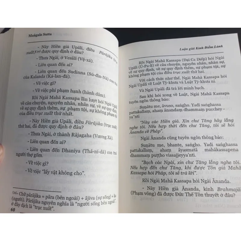 Luận giải Kinh Điềm Lành - Thầy Tỳ Khưu Chánh Minh 698195