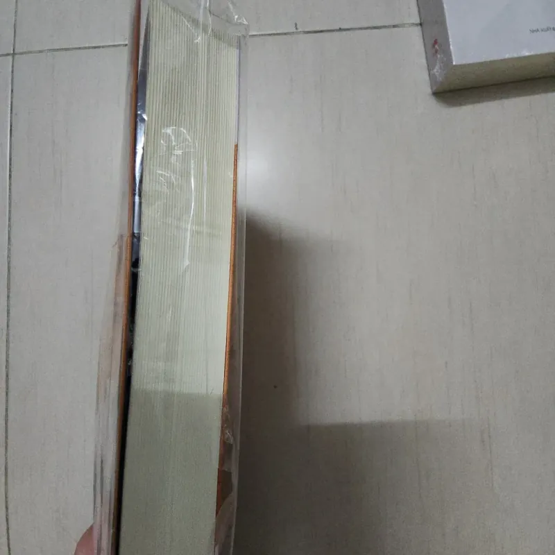 Sách Đứa trẻ hư của Tử Kim Trần 746207