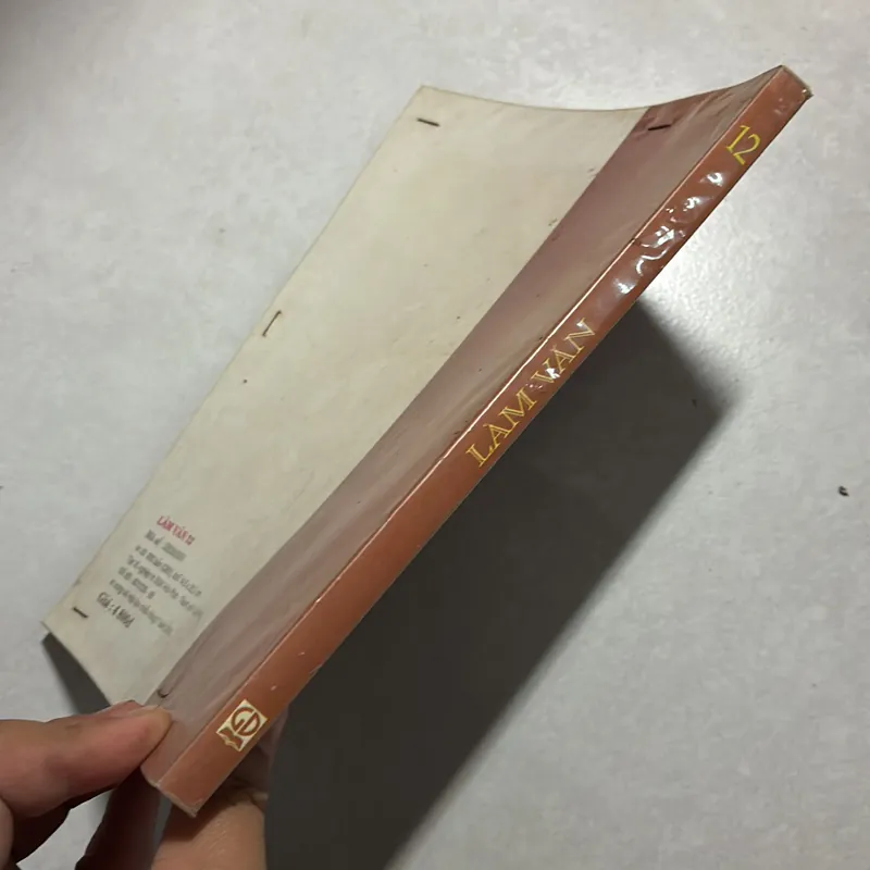 Làm văn 12  738851