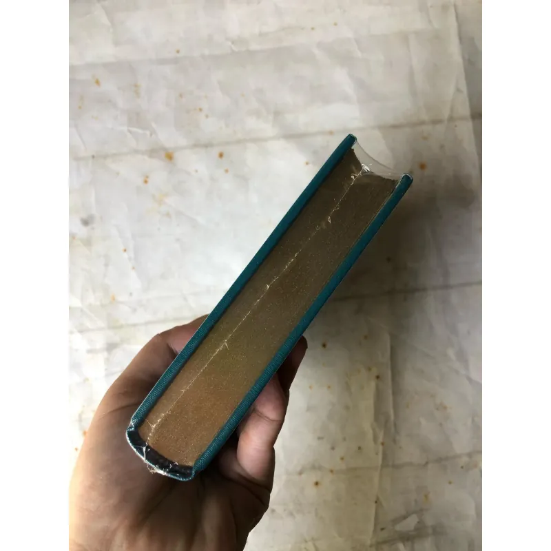 Về Với Gia Đình - Hector Malot 733701