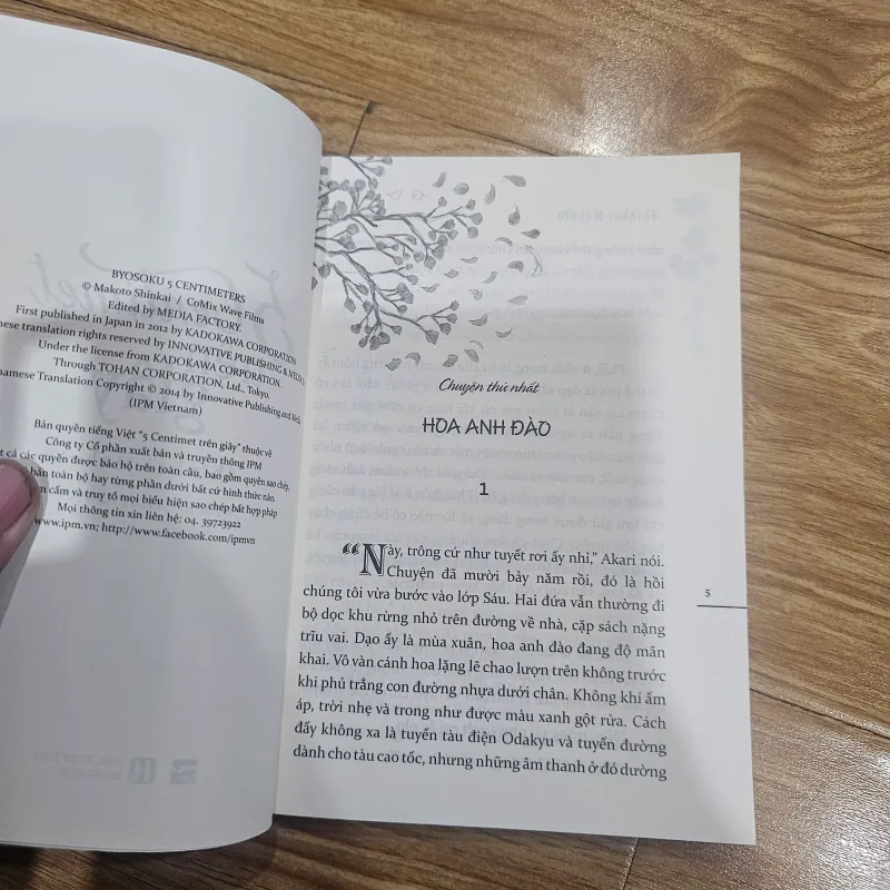 5 centimet trên giây 1023161