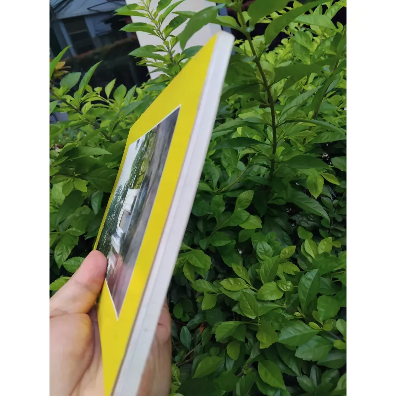 Đặng tộc đại tông phả ( phả chi trưởng họ Đặng )  981584