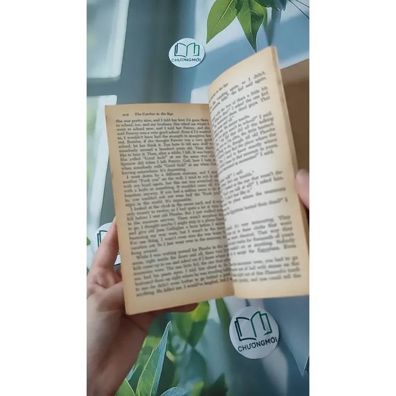 [MIỄN PHÍ BỌC SÁCH] [XƯA] The Catcher in the Rye (1951) - J. D. Salinger 1027211
