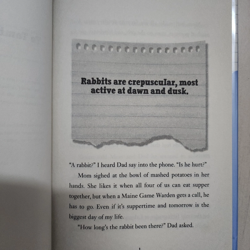Sách Because of the rabbit của Cynthia Lord mới 90% 508787