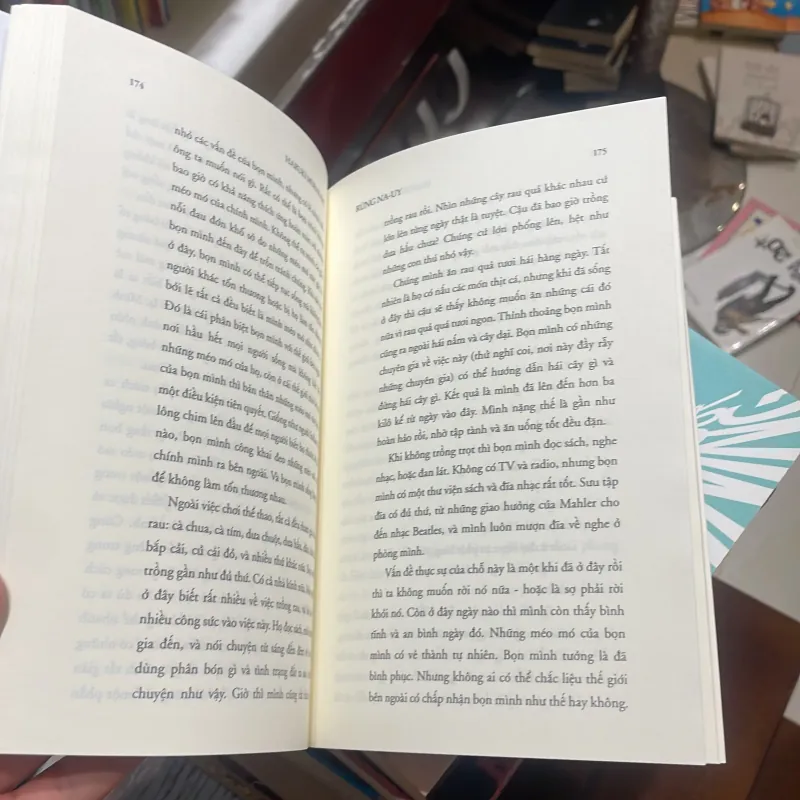 Rừng Nauy Haruki Murakami nhã nam 2024  1025690