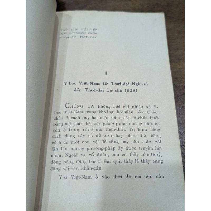 Bướm hoa bịnh dương mai trên đất việt - bác sĩ Lê Văn Ngôn 1003582