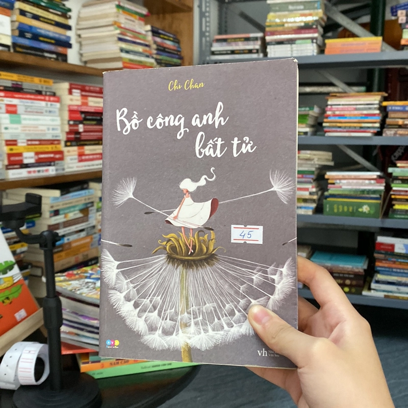 Bồ công anh bất tử -Chi Chan 528646